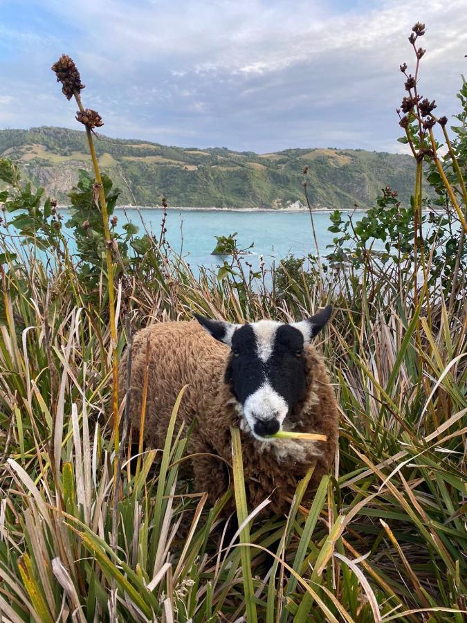 Вилла Vertientes De Pumillahue, Chiloe Экстерьер фото