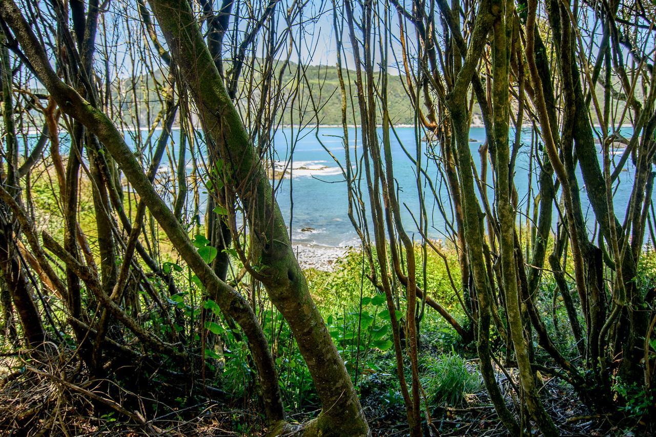 Вилла Vertientes De Pumillahue, Chiloe Экстерьер фото